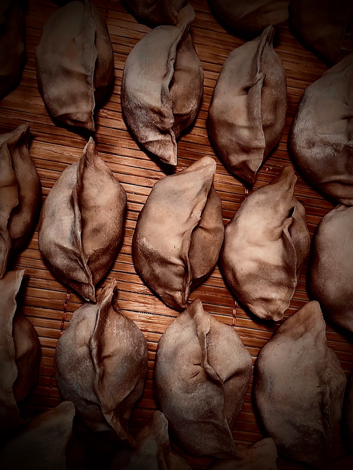 dumplings by Tina Xing