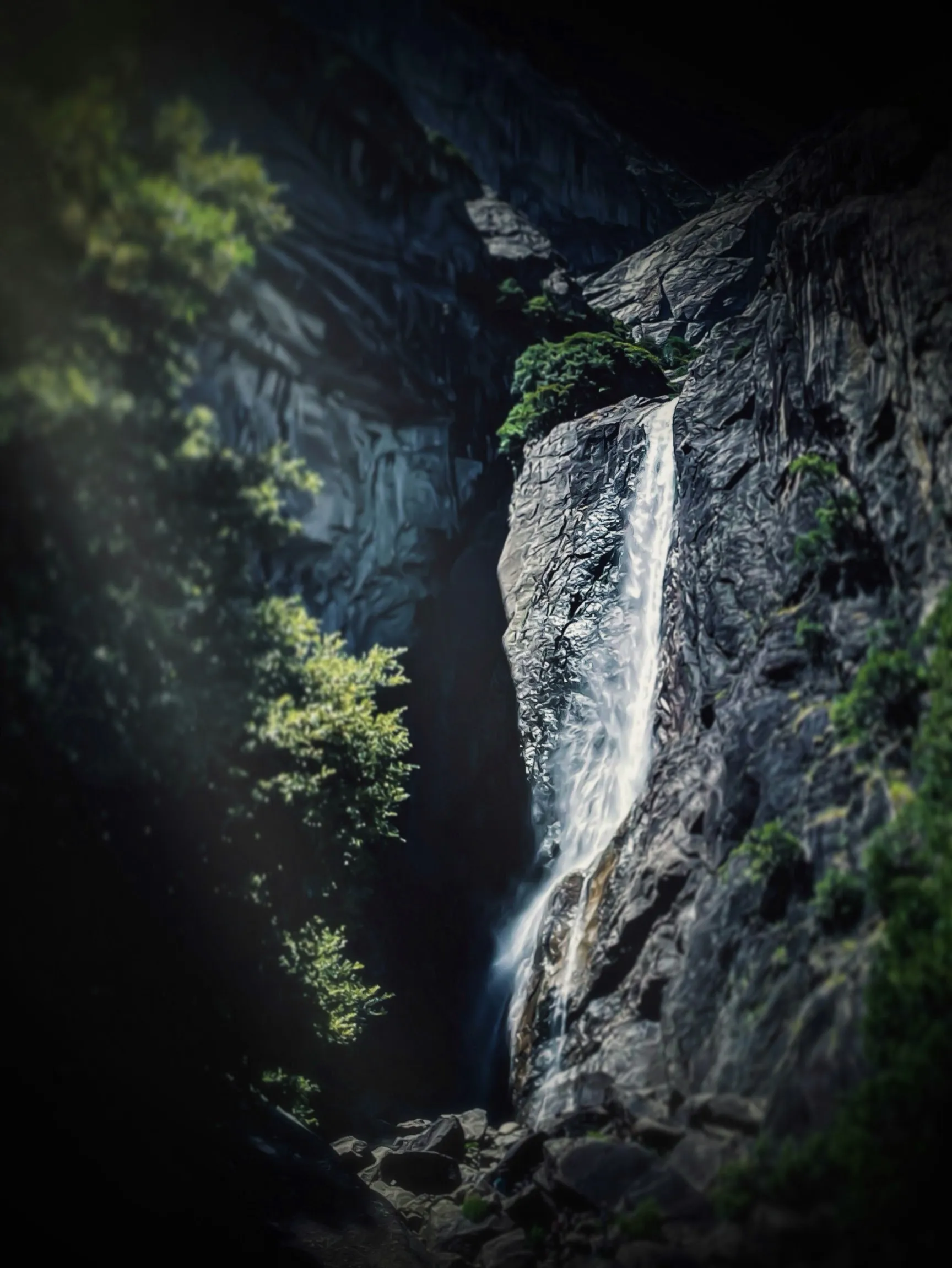 Dramatic shot with iPhone, by Tina Xing photography