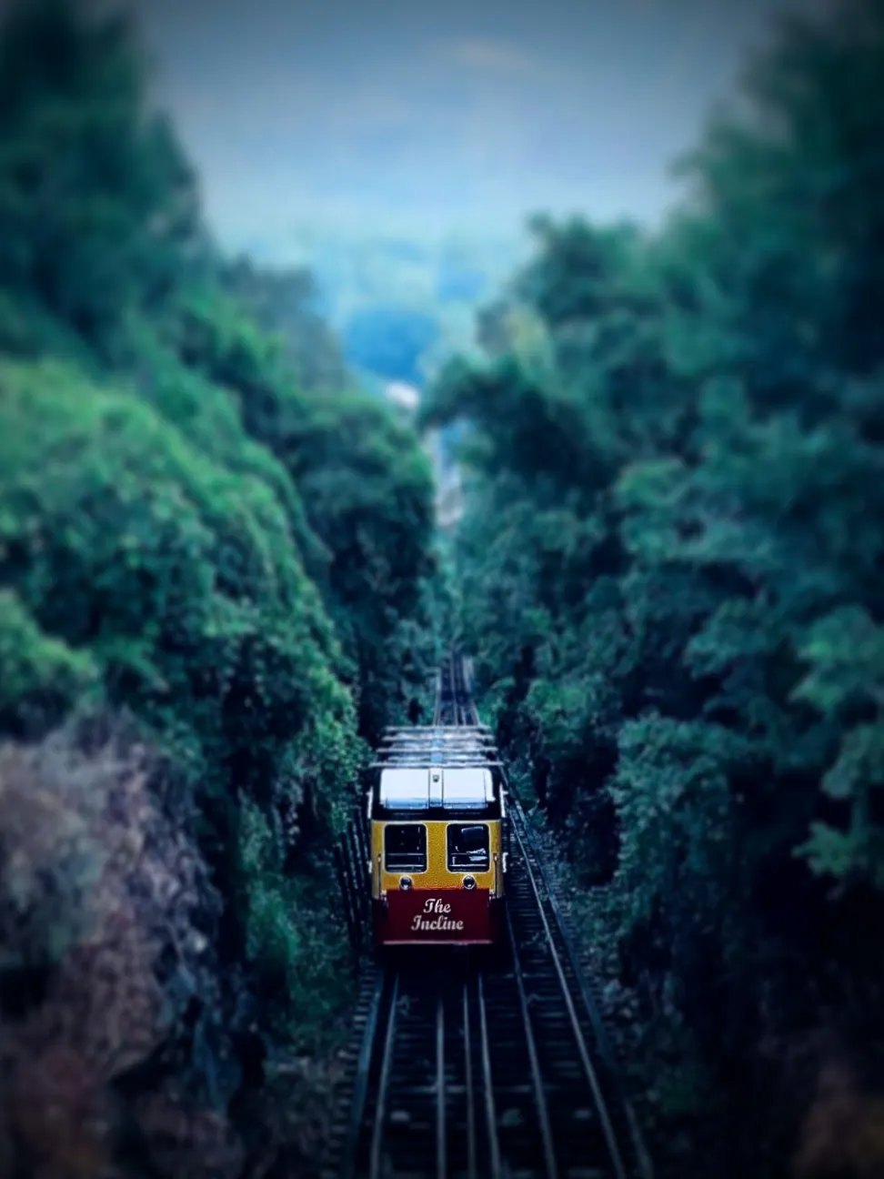 Dramatic shot with iPhone, by Tina Xing photography