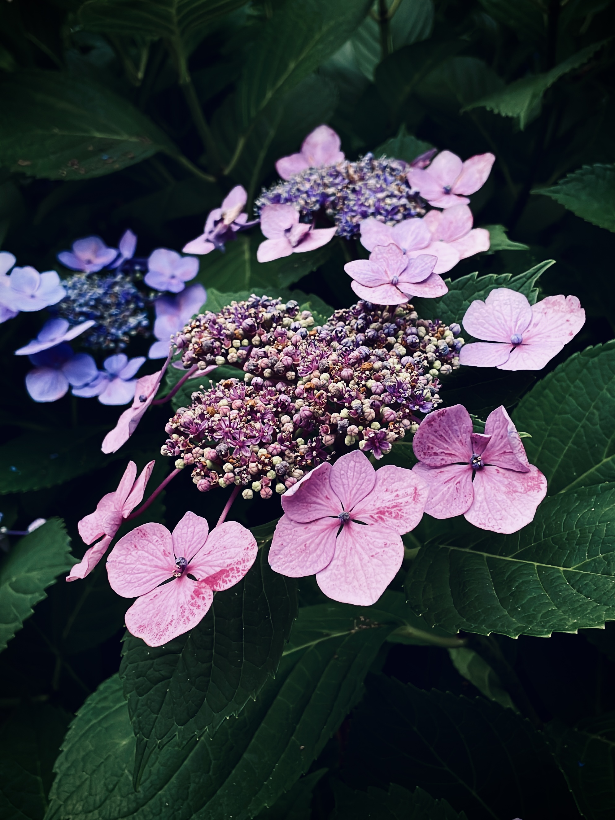 Beautiful colorful patterns, photographed by Tina Xing
