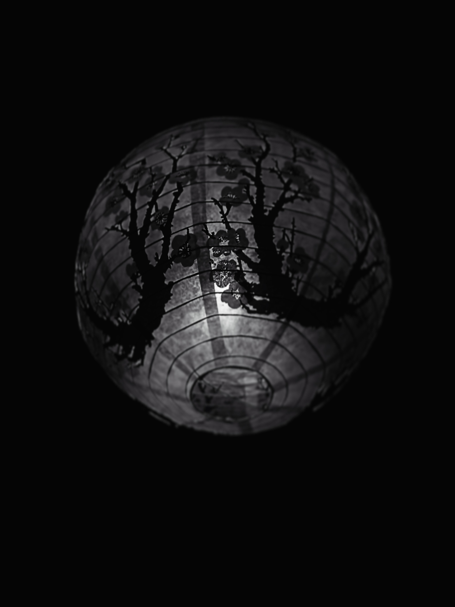 Round lantern, photographed by Tina Xing