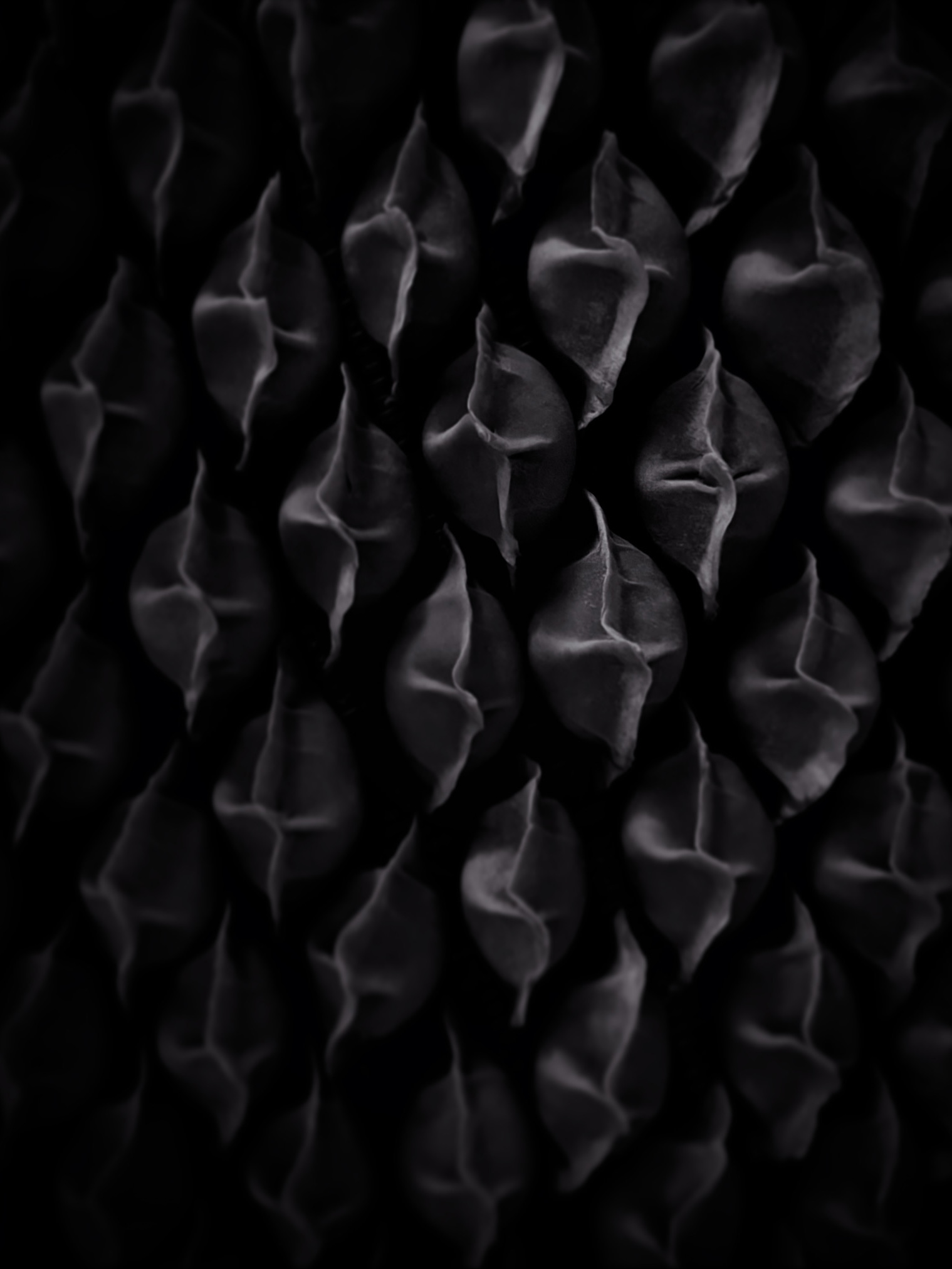 Dumpling patterns, photographed by Tina Xing