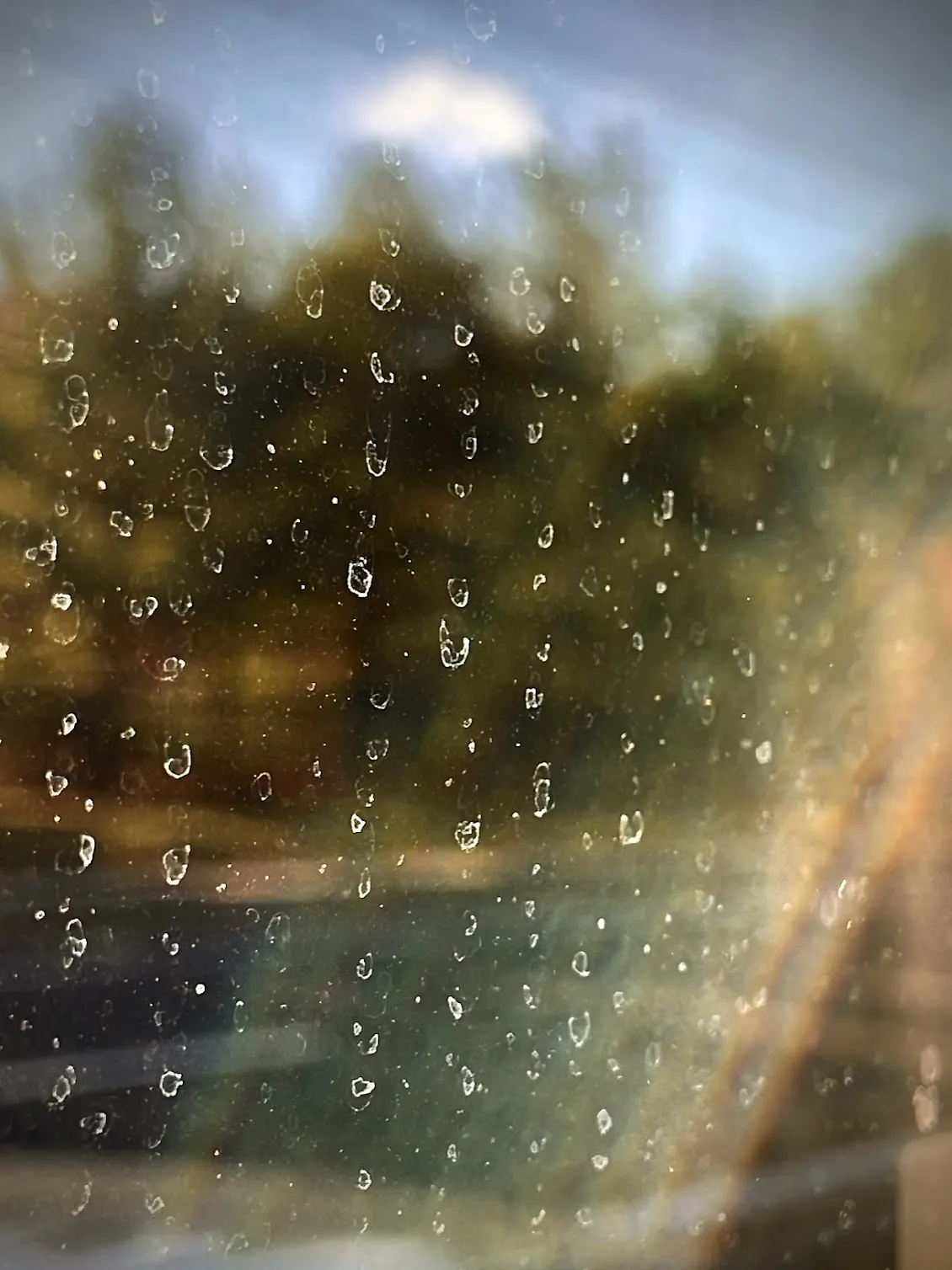 Dramatic shot of raindrop remnants with an iPhone, by Tina Xing photography