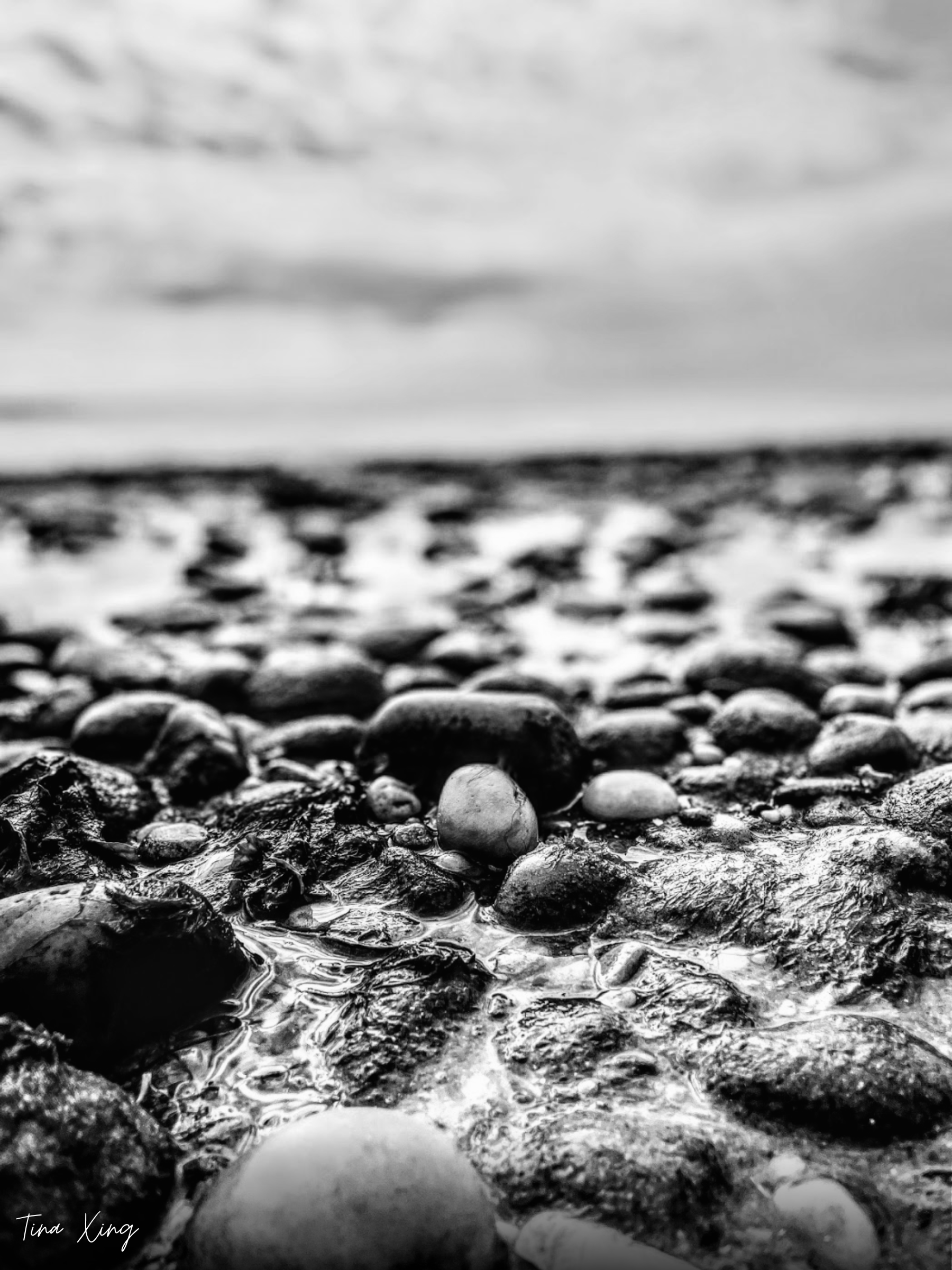 Beach pebbles, photographed by Tina Xing